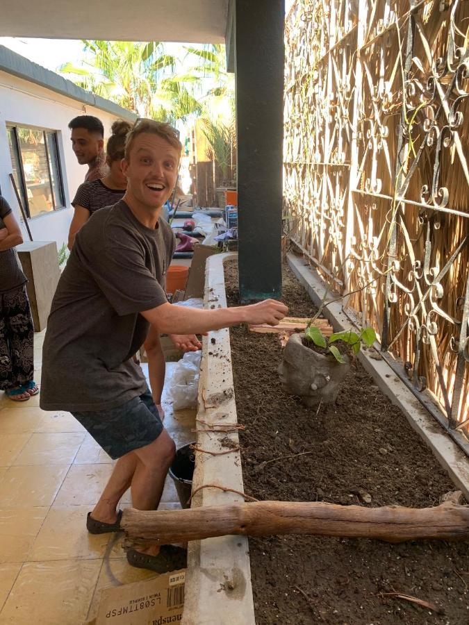 Desert Heart Hostel ซานโฮเซ เดล กาโบ ภายนอก รูปภาพ