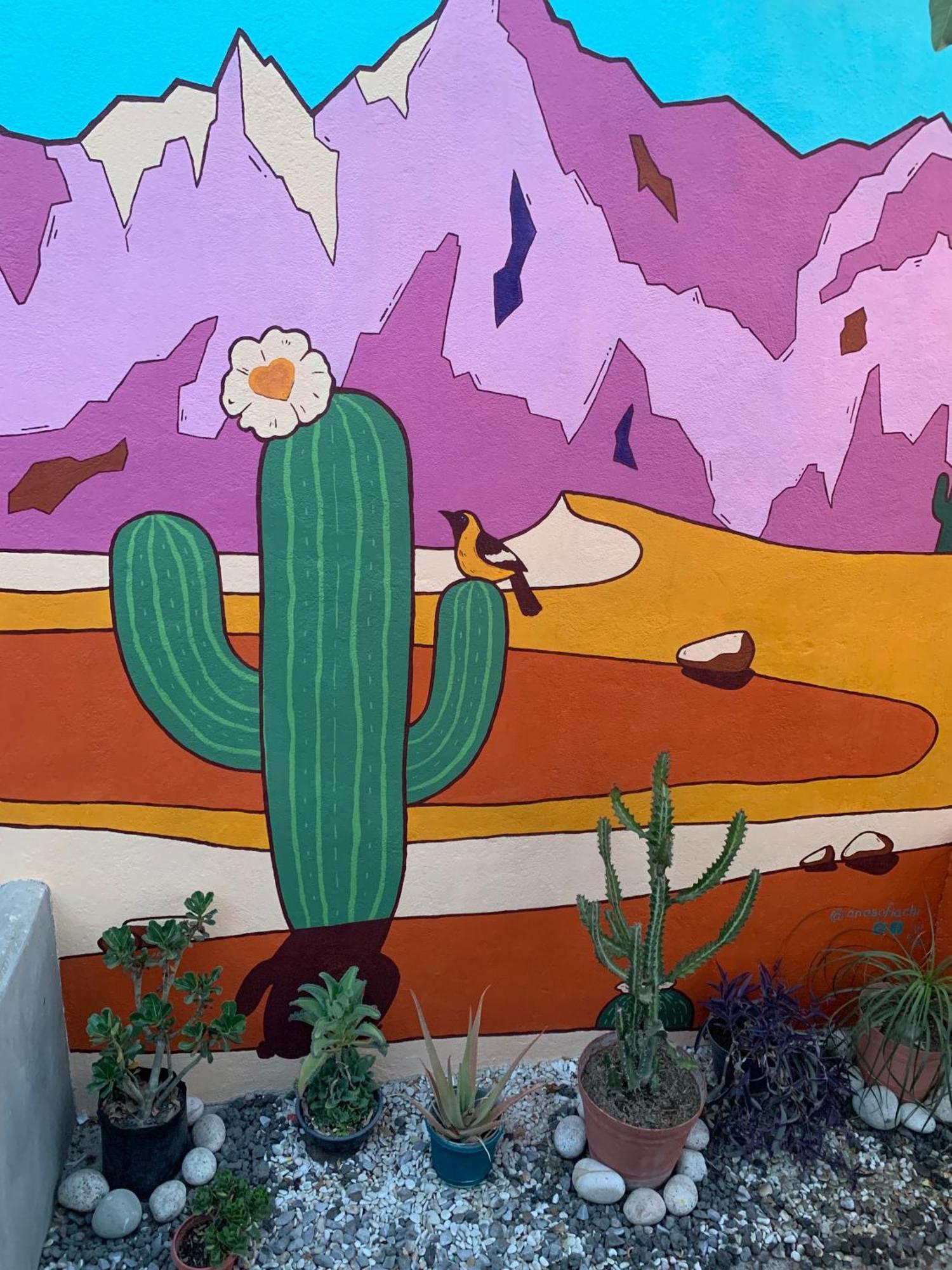Desert Heart Hostel ซานโฮเซ เดล กาโบ ภายนอก รูปภาพ